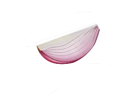onion-image